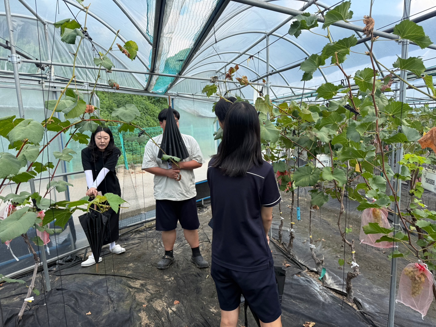 KakaoTalk_20250821_191918582_08