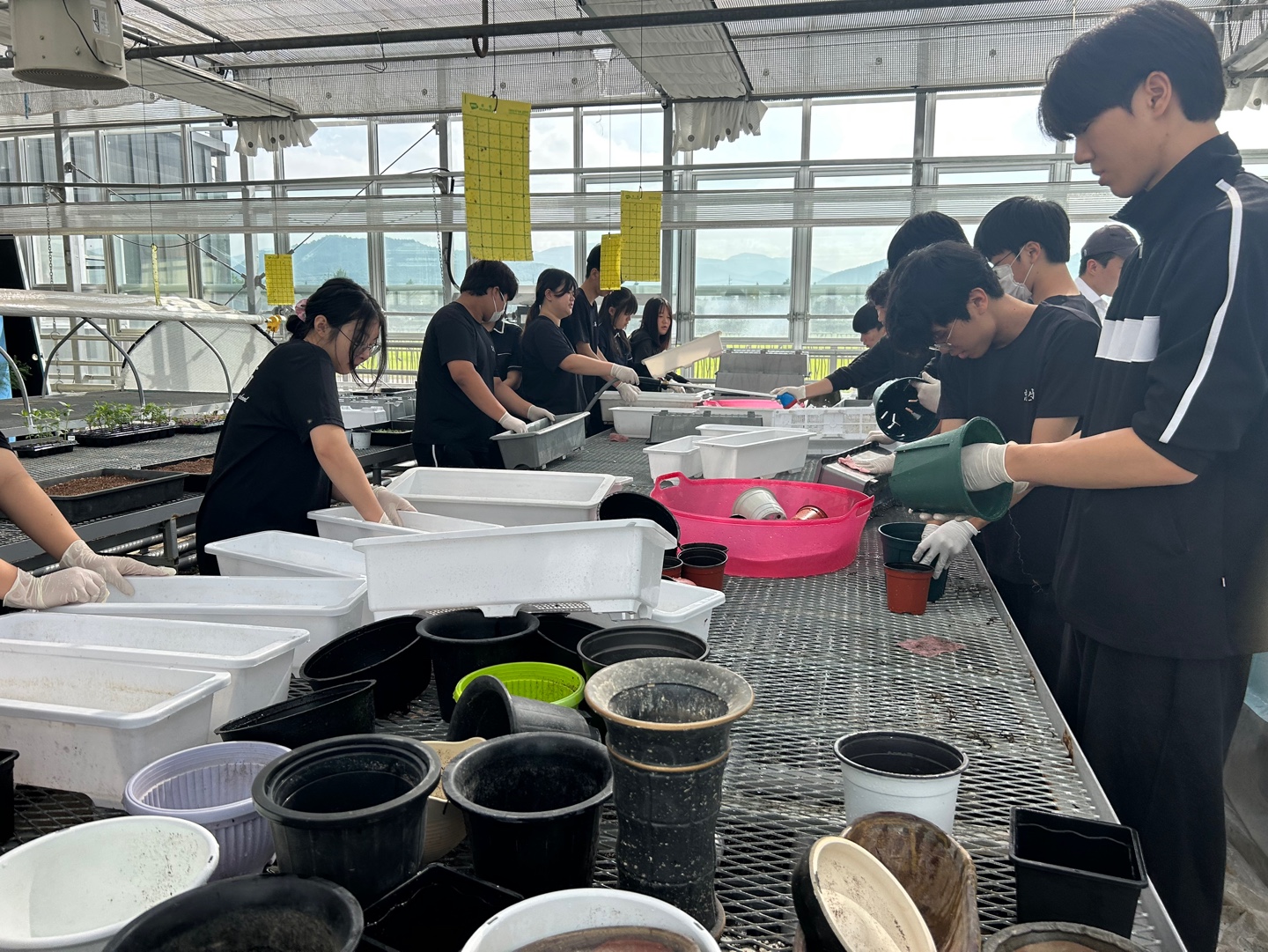 KakaoTalk_20250811_134634171
