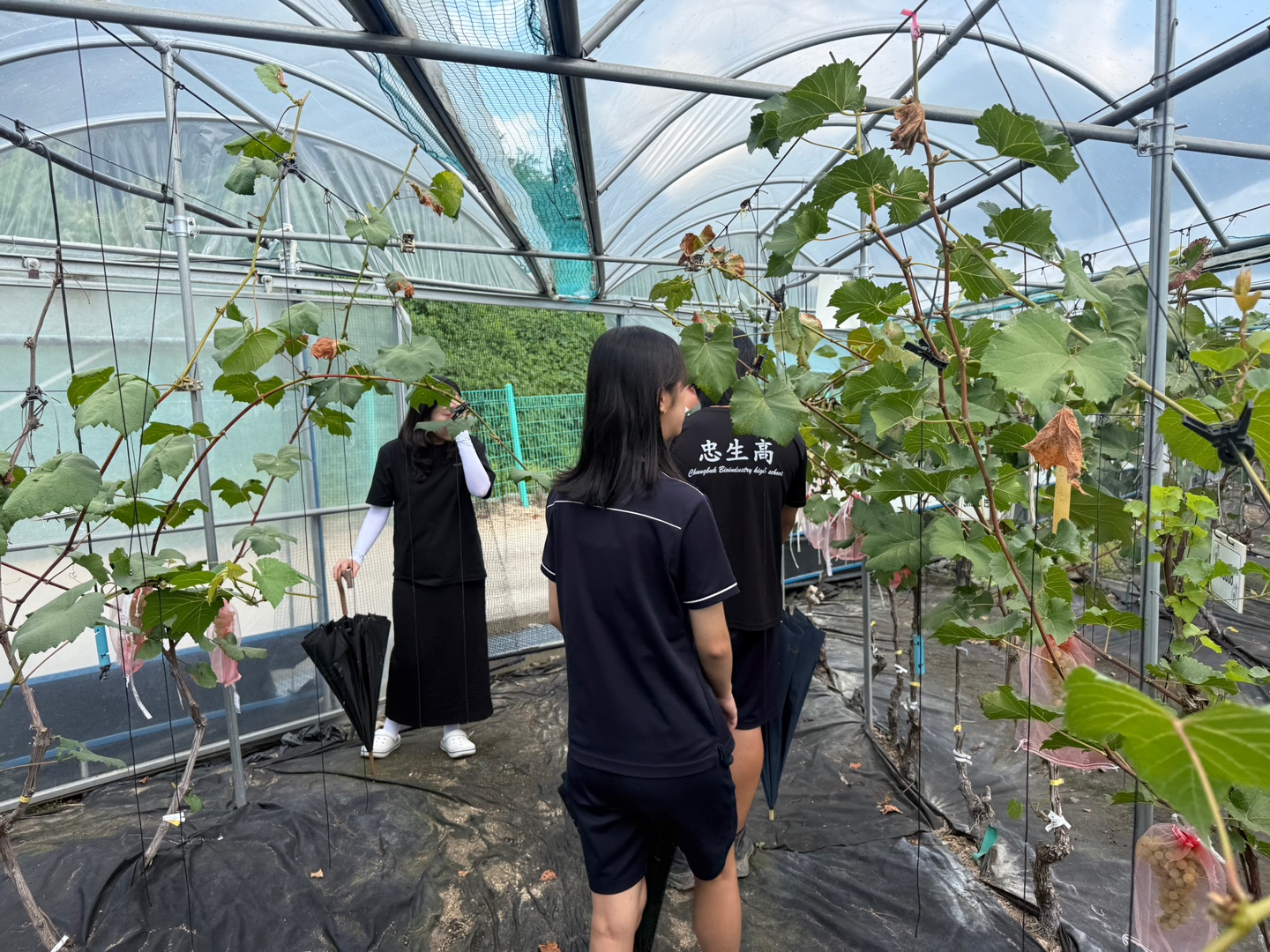 KakaoTalk_20250821_191918582_07