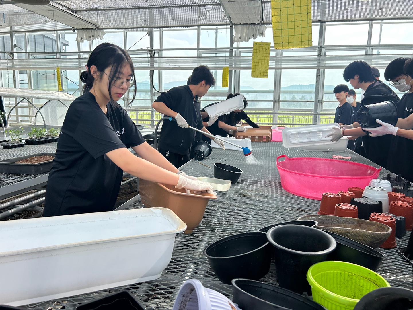 KakaoTalk_20250811_134634171_01