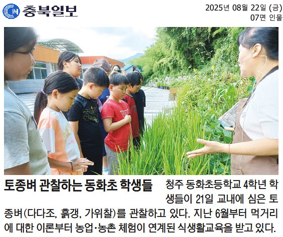 20250822_토종벼 관찰하는 동화초 학생들