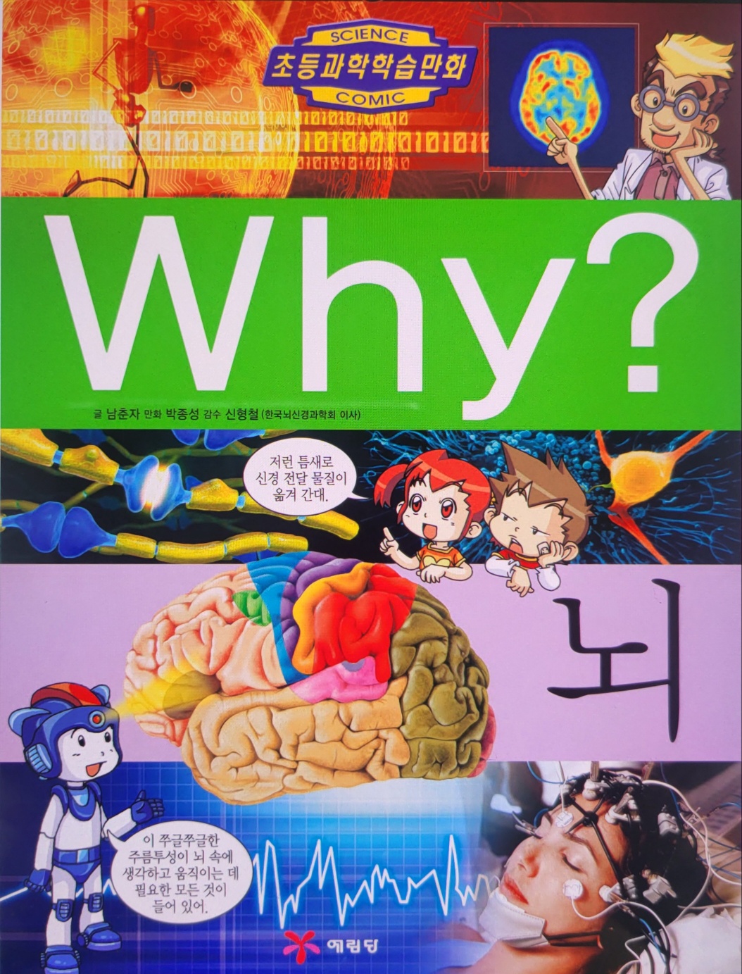 why 뇌
