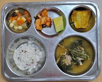 KakaoTalk_20250826_140633234.jpg