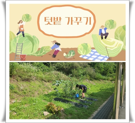 2025.06.27.(텃밭)02.jpg