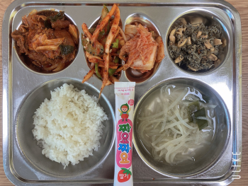 KakaoTalk_20250821_080835196.jpg