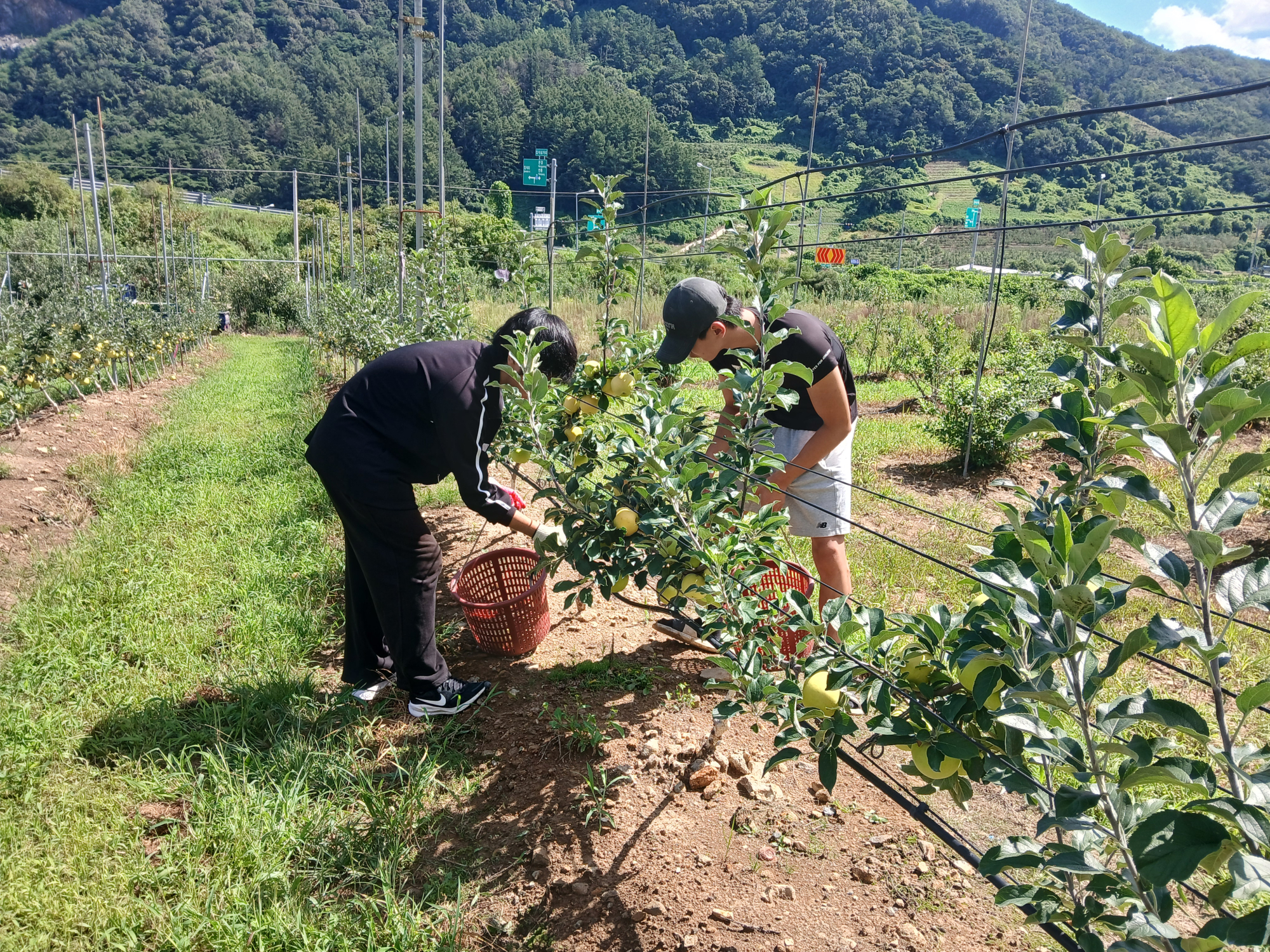 KakaoTalk_20250820_142636613_14