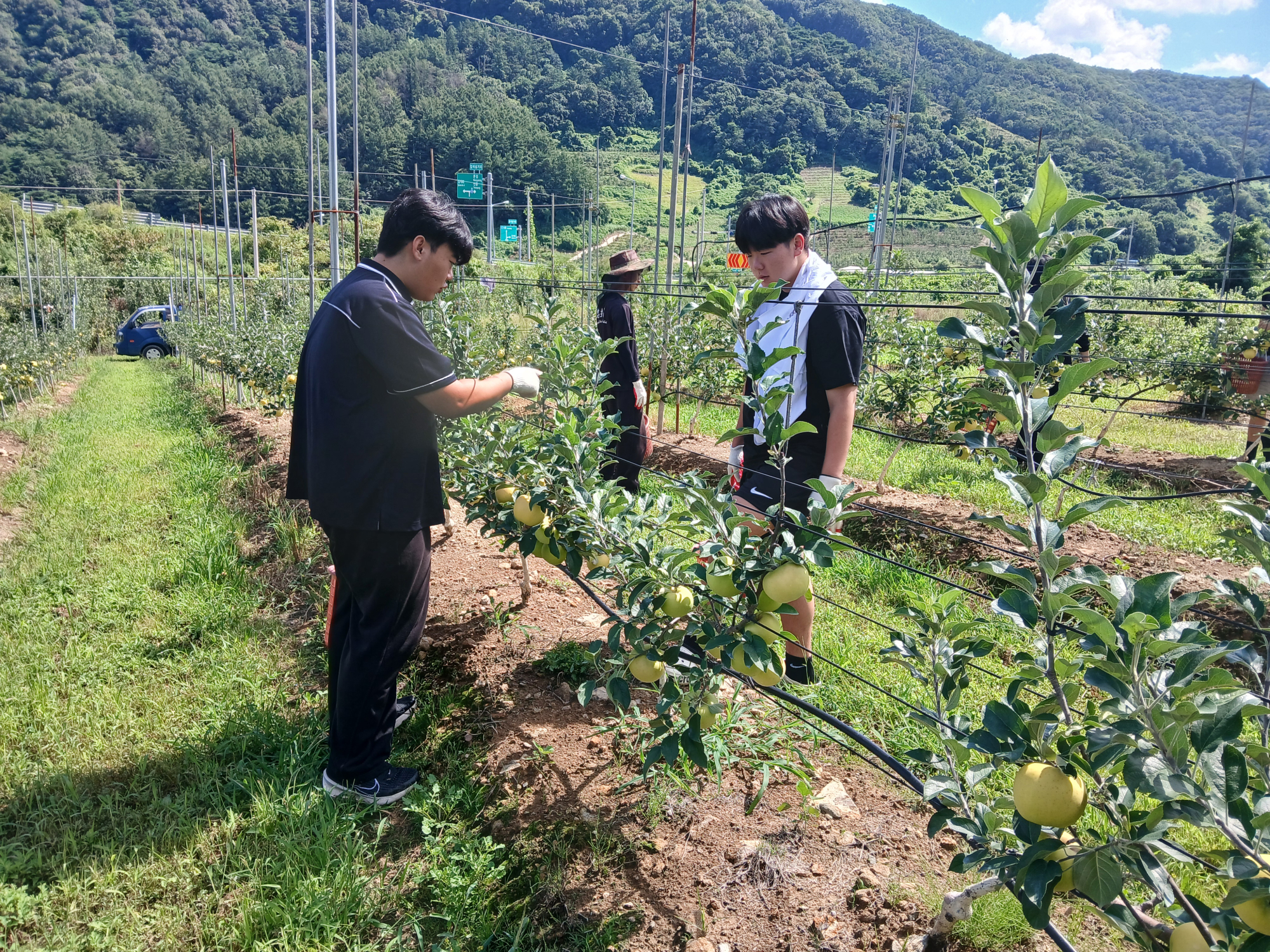 KakaoTalk_20250820_142636613_13