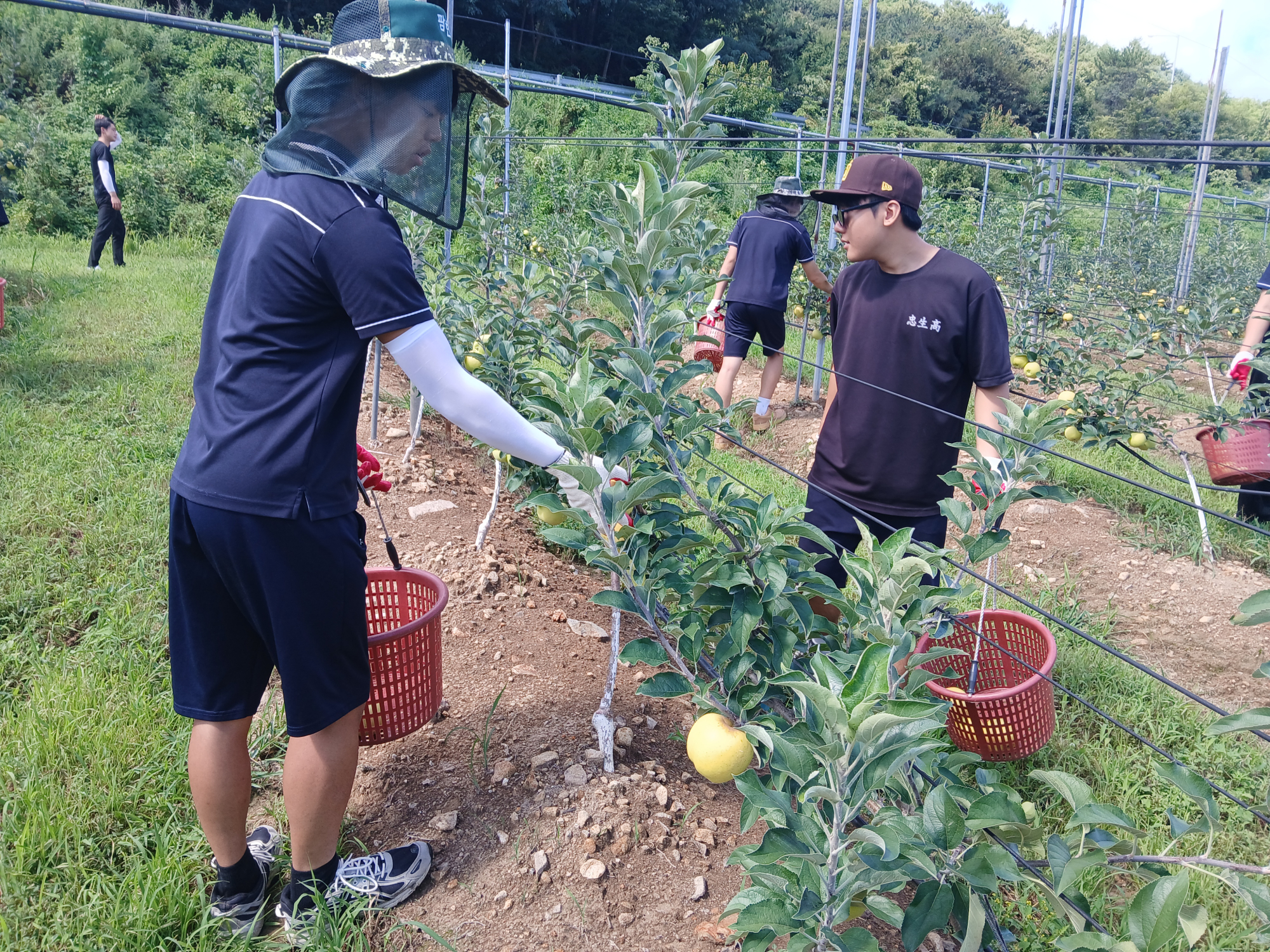 KakaoTalk_20250820_142636613_12
