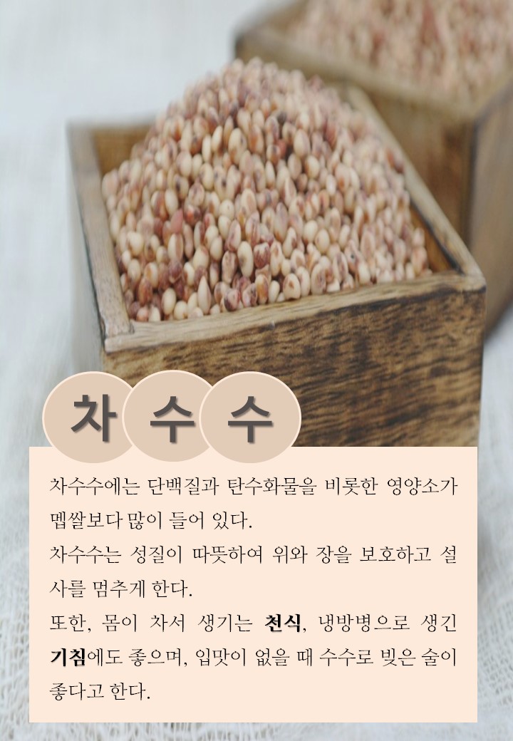 차수수(9.8.)