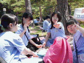 문화유산 답사.gif