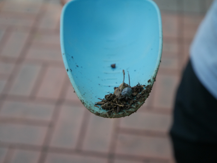 [크기변환1]P1440308